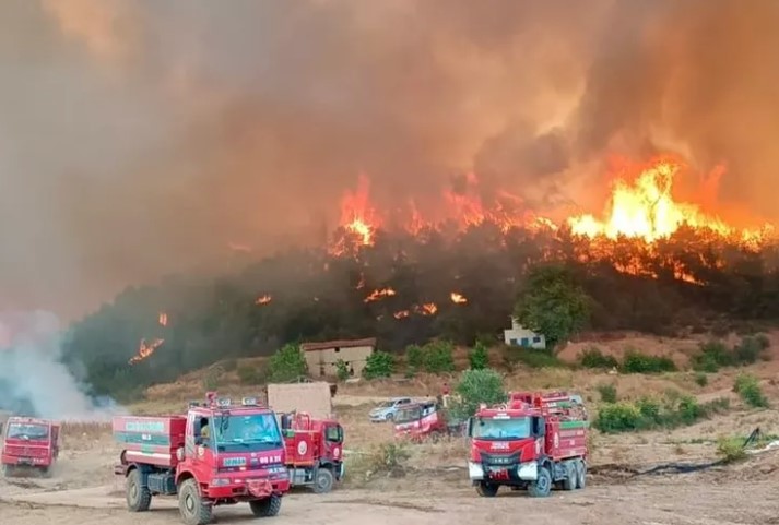 Ormanlarda 10 Acı Kayıp, 7 Yangın Devam Ediyor!